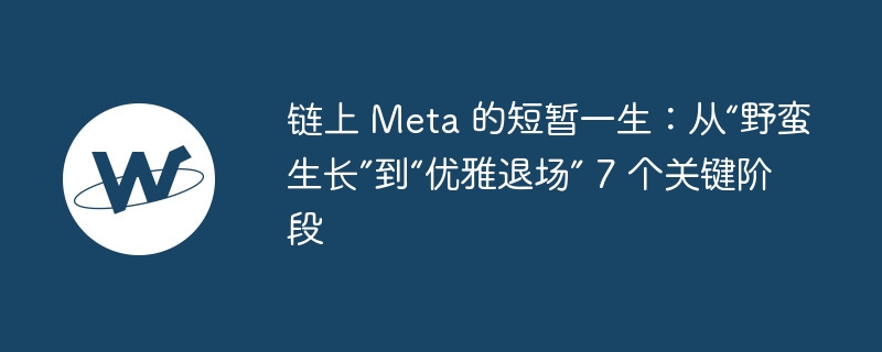 链上 meta 的短暂一生：从“野蛮生长”到“优雅退场” 7 个关键阶段
